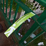 profile pic