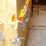 profile pic
