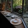 profile pic